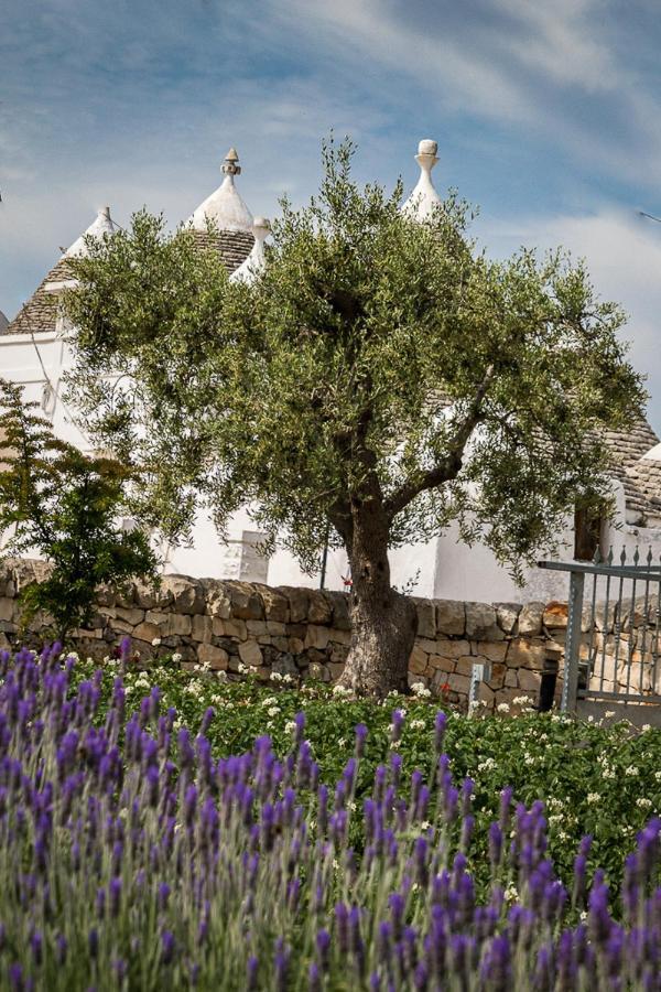 Casa Tra I Trulli Villa Martina Franca Exterior photo